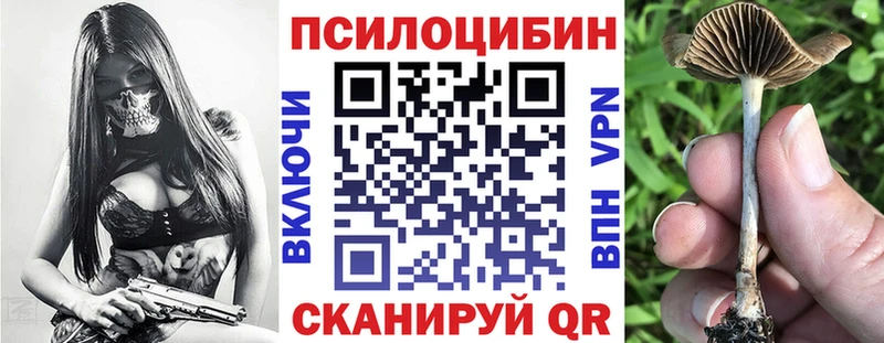 кракен маркетплейс  Алзамай  Псилоцибиновые грибы GOLDEN TEACHER 